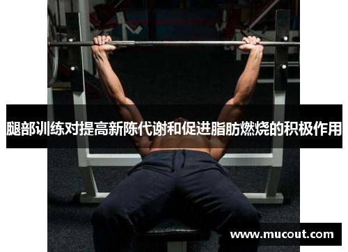 腿部训练对提高新陈代谢和促进脂肪燃烧的积极作用